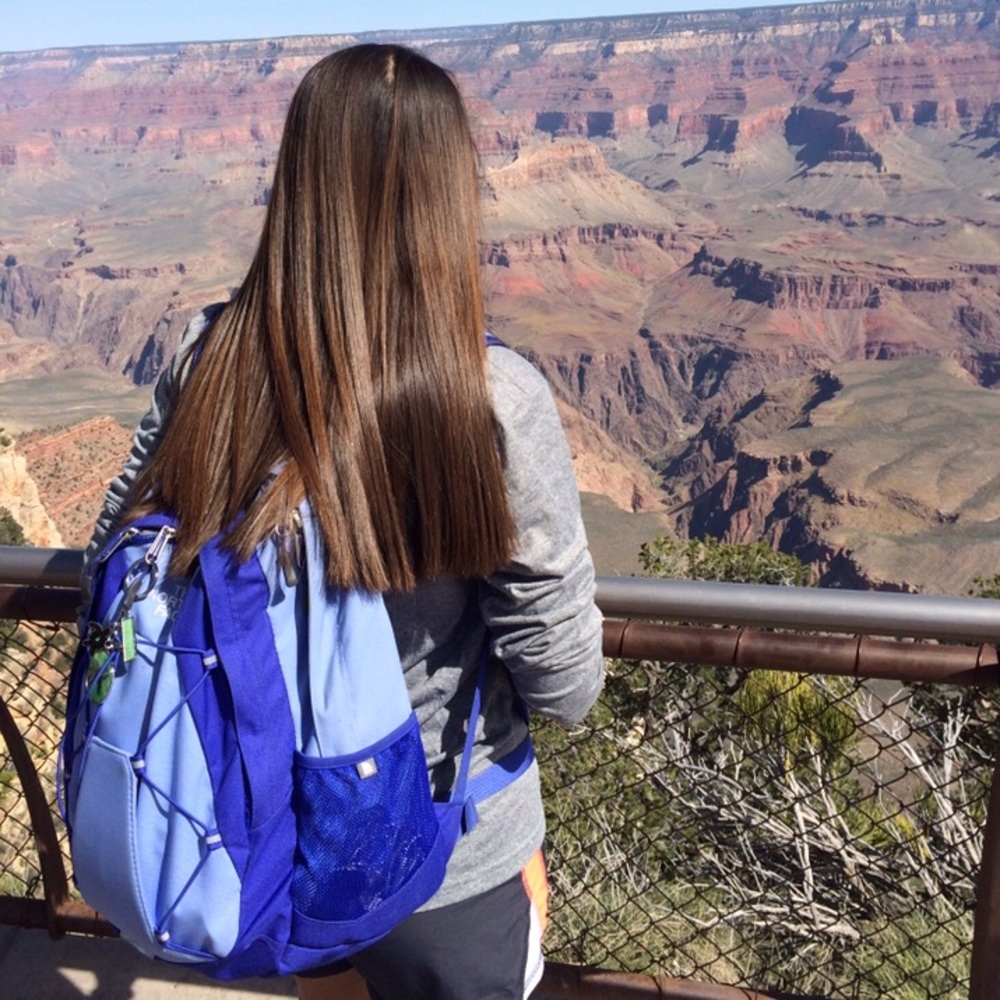 North Face Jester Backpack